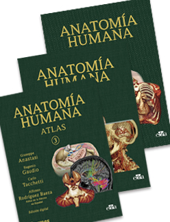 Anatomía humana Atlas interactivo multimedia 2ª edición 