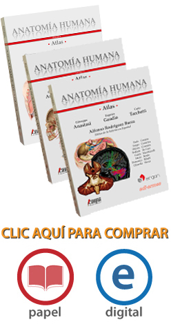 Anatomía humana Atlas interactivo multimedia
