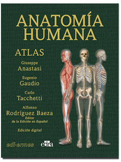 Anatomía humana - Atlas 2ª edición